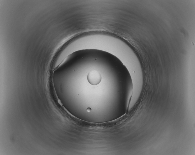 X0000113530440200910161353