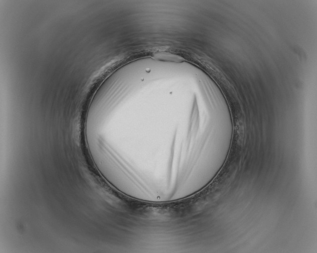 X0000113530442200910161353