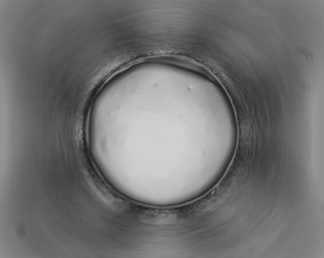 X0000113530443200910161353