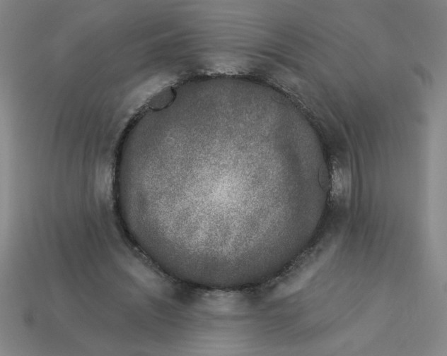 X0000113530444200910161353