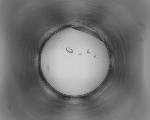 X0000113530445200910161353