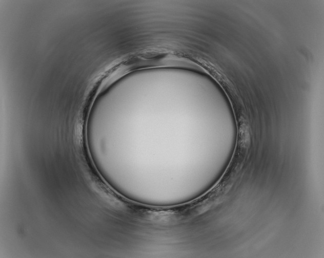 X0000113530446200910161353