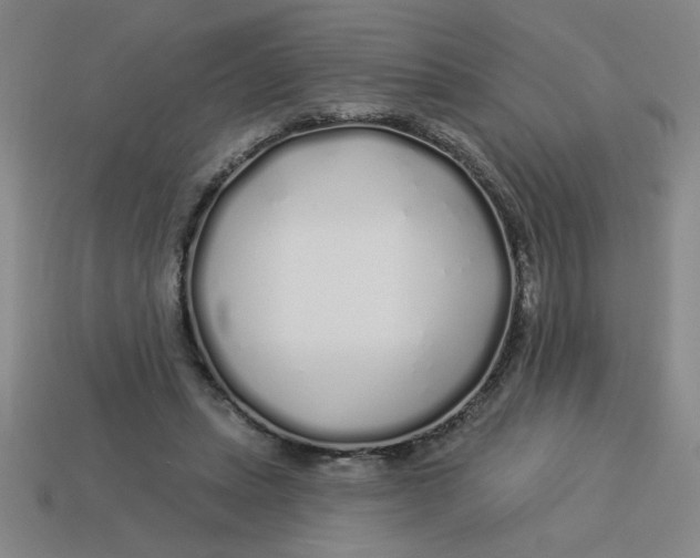 X0000113530447200910161353