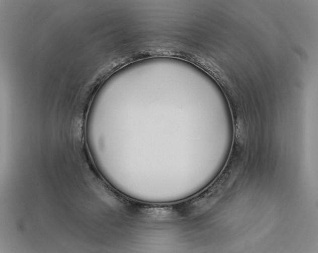 X0000113530449200910161353