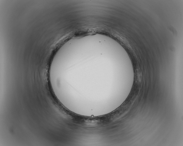 X0000113530450200910161353