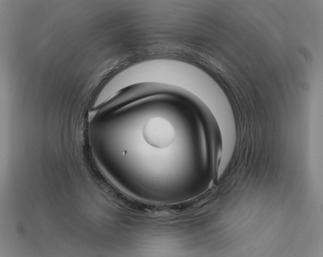 X0000113530452200910161353