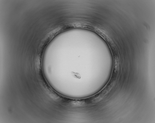 X0000113530453200910161353