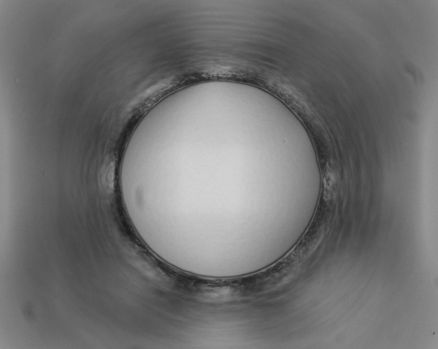 X0000113530454200910161353