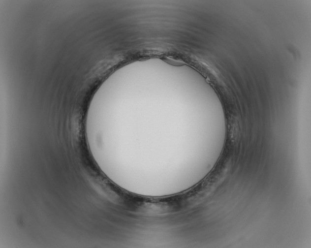 X0000113530455200910161353