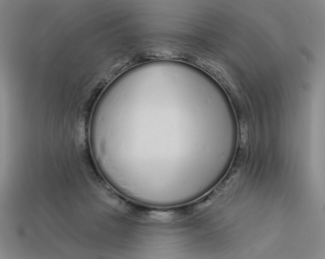 X0000113530457200910161353