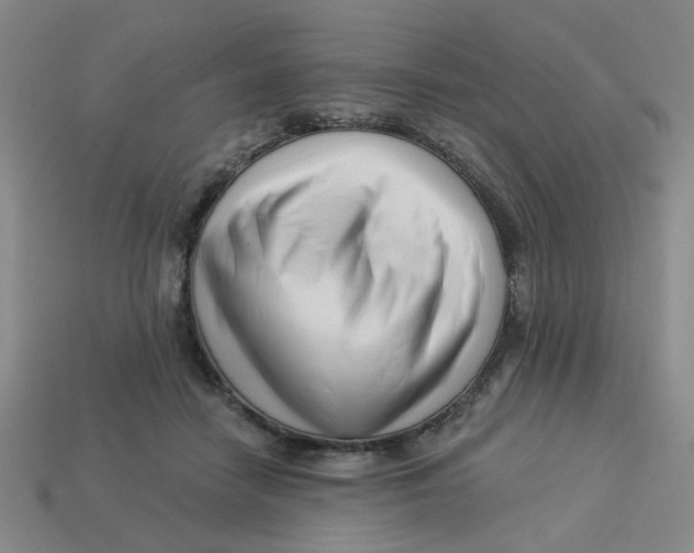 X0000113530458200910161353