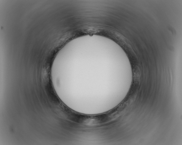 X0000113530460200910161353