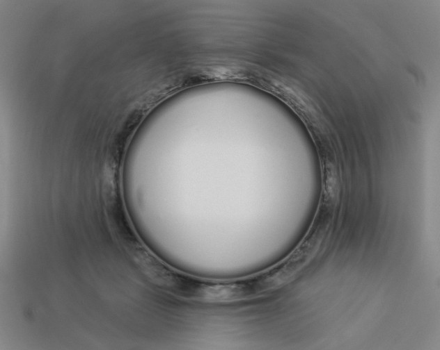 X0000113530461200910161353