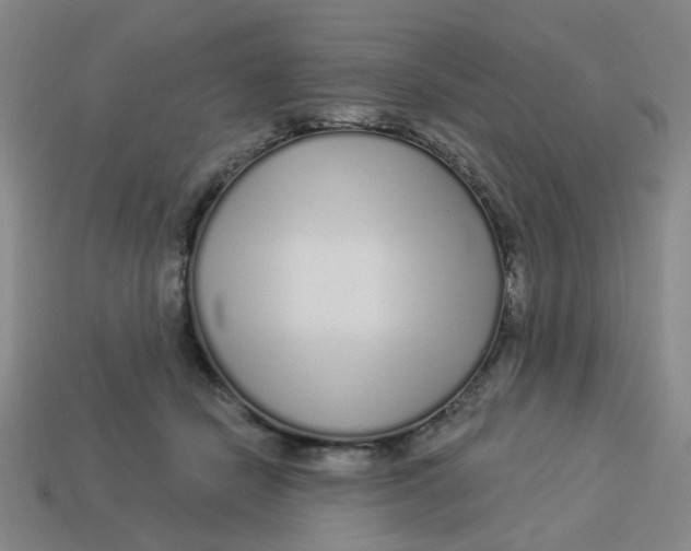 X0000113530462200910161353