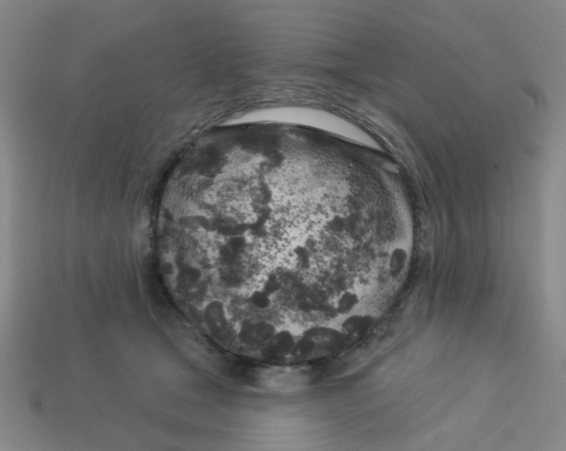 X0000113530465200910161353