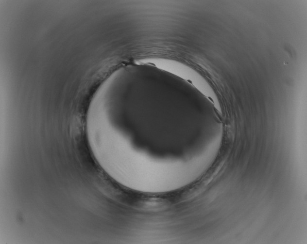 X0000113530467200910161353