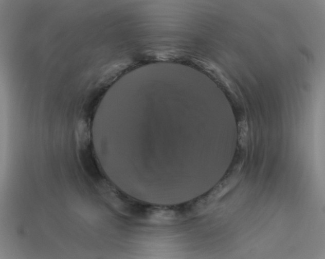 X0000113530471200910161353