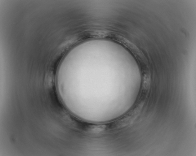 X0000113530474200910161353