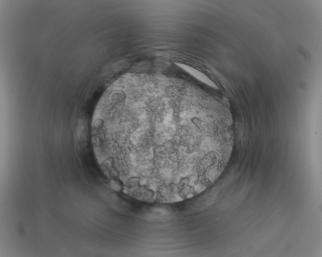 X0000113530475200910161353