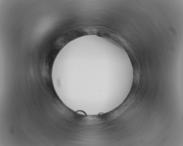 X0000113530477200910161353