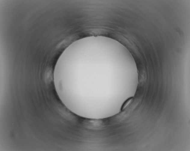 X0000113530478200910161353