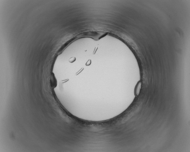 X0000113530481200910161353