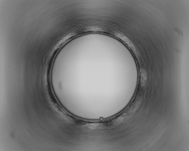 X0000113530482200910161353