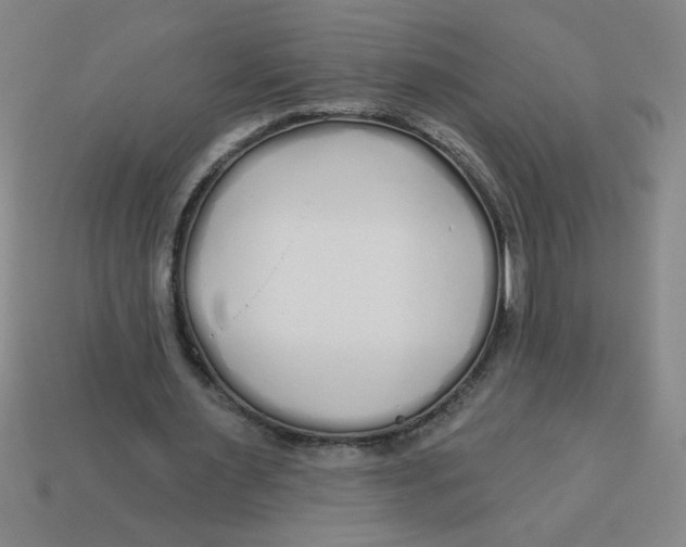 X0000113530483200910161353