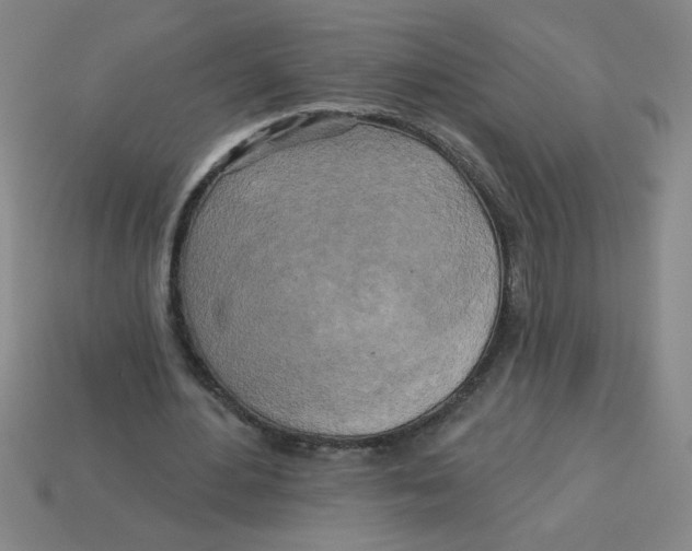 X0000113530484200910161353