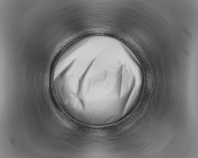 X0000113530486200910161353