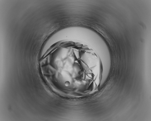 X0000113530489200910161353