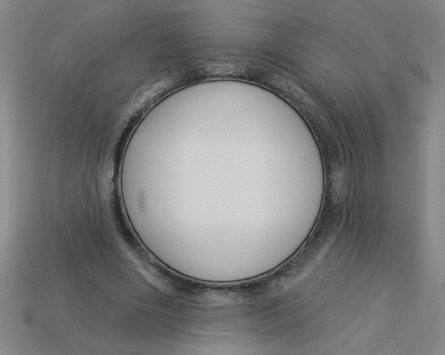 X0000113530490200910161353