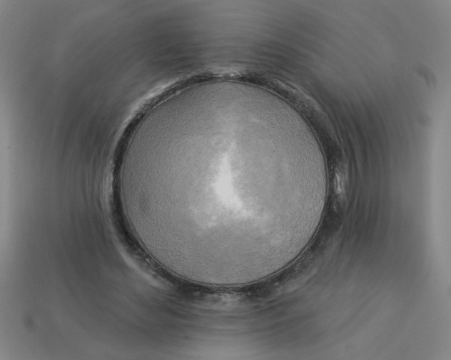 X0000113530492200910161353