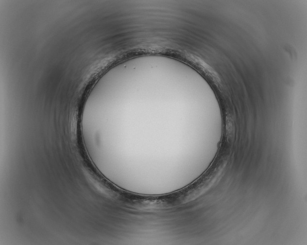 X0000113530493200910161353