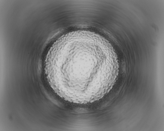 X0000113530494200910161353