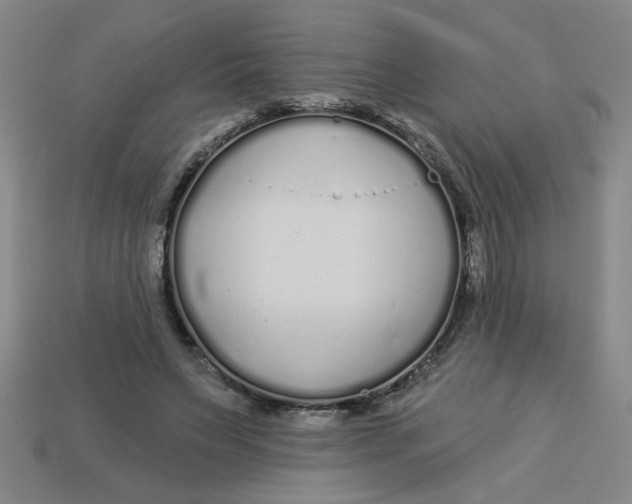 X0000113530495200910161353