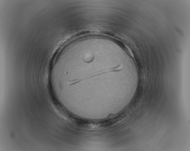 X0000113530496200910161352