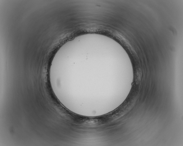 X0000113530497200910161352