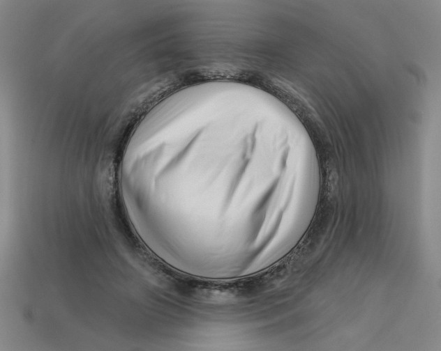 X0000113530498200910161352