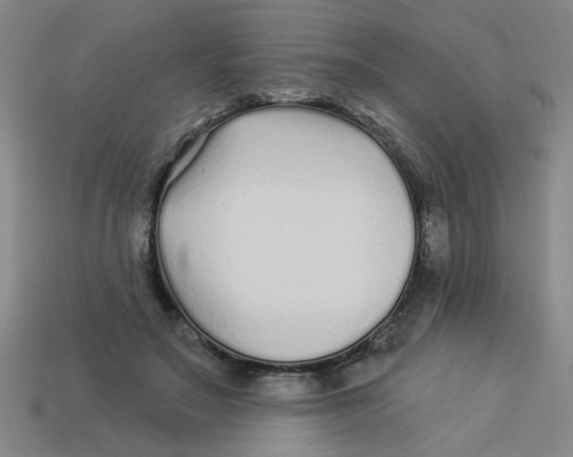 X0000113530499200910161352