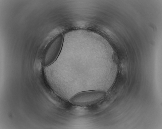 X0000113530500200910161352