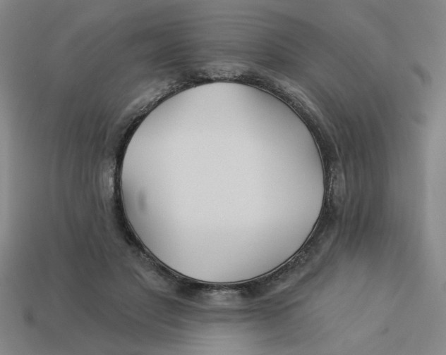 X0000113530501200910161352