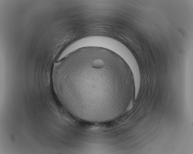 X0000113530504200910161352