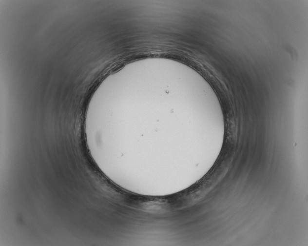 X0000113530505200910161352