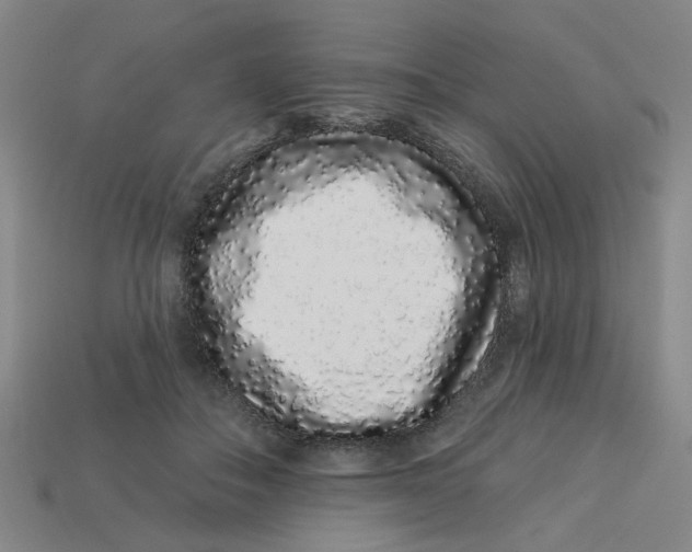 X0000113530506200910161352