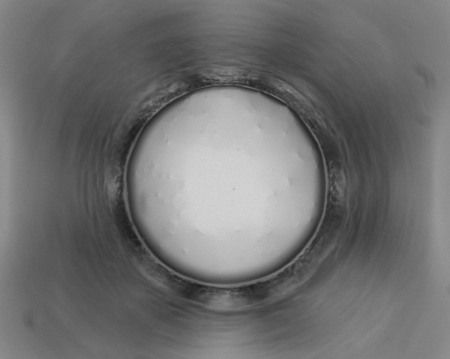 X0000113530507200910161352