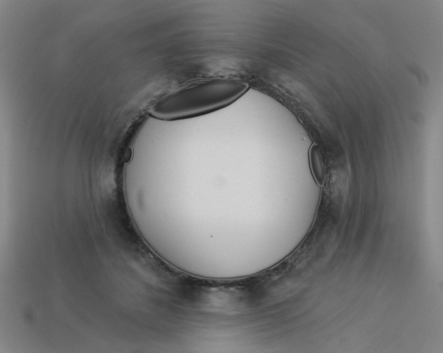 X0000113530508200910161352