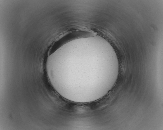 X0000113530512200910161352