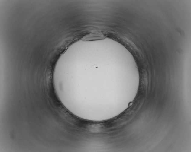 X0000113530513200910161352