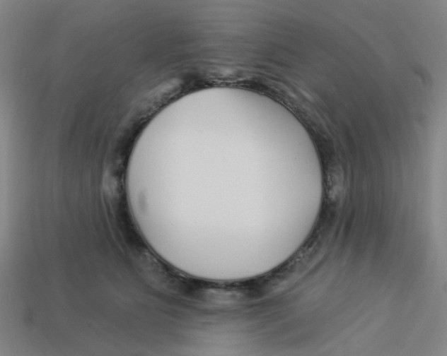 X0000113530515200910161352